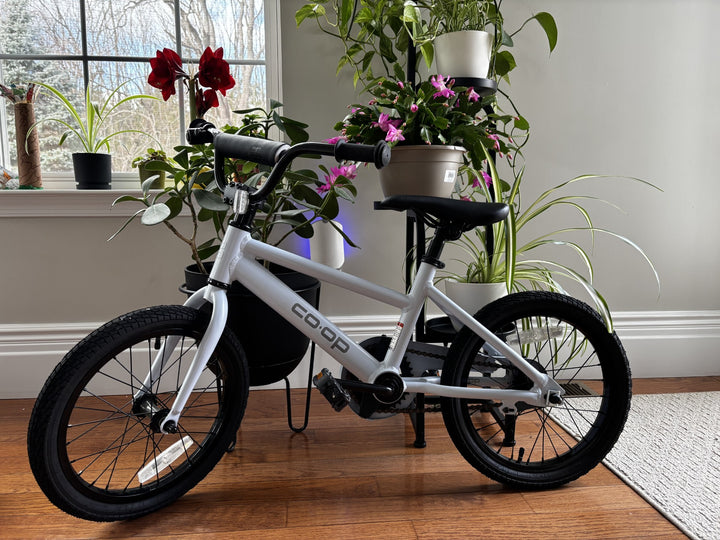 Co-op Cycles REV 16 Kids' Bike – Perfect Starter Ride for Young Cyclists!