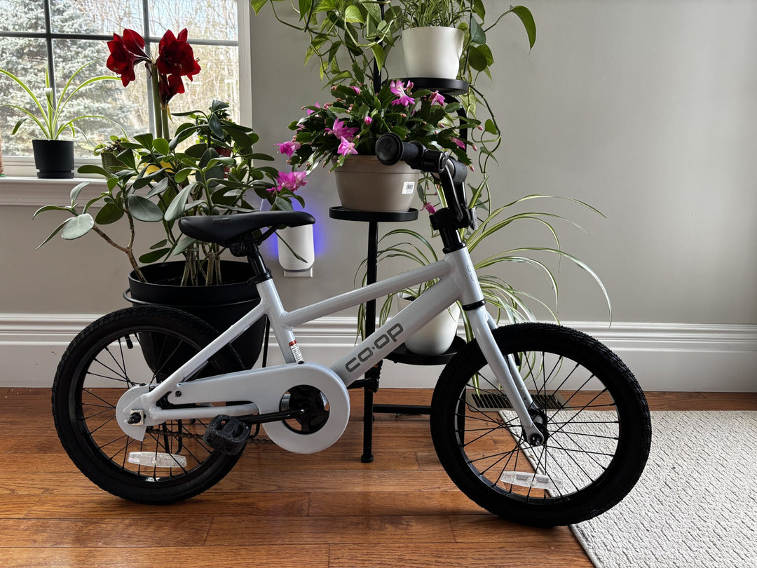 Co-op Cycles REV 16 Kids' Bike – Perfect Starter Ride for Young Cyclists!
